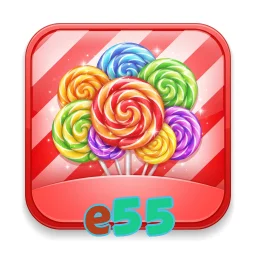 e55